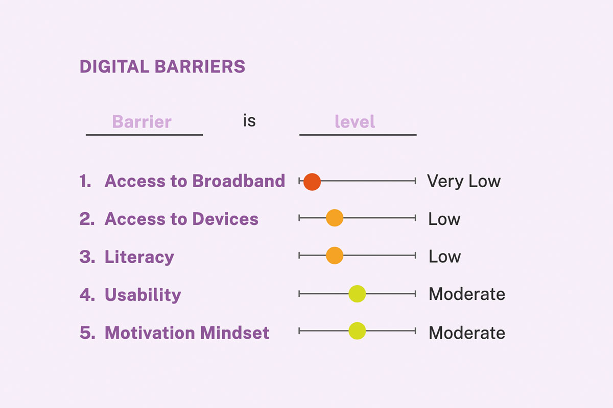 A chart depicts different digital barriers showing that access to broadband is the lowest barrier while usability and motivation are the highest.