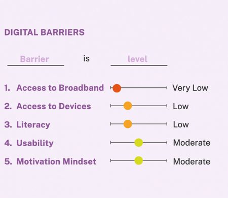 A chart depicts different digital barriers showing that access to broadband is the lowest barrier while usability and motivation are the highest.