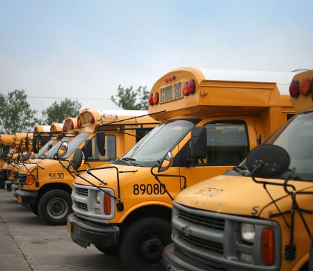 A line of parked school buses.